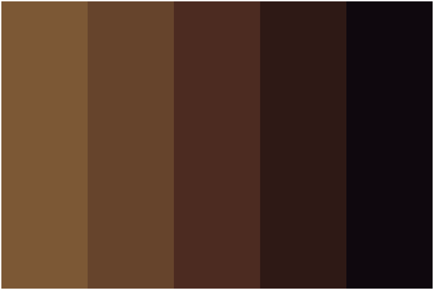 Brown is the color of earth