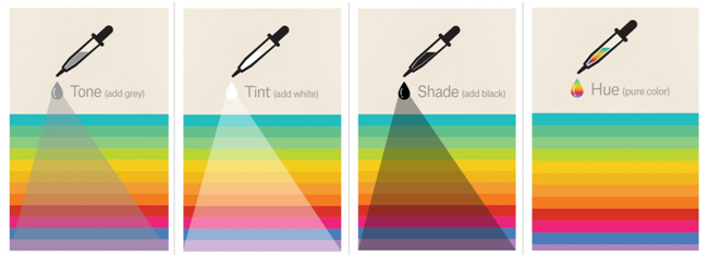 Using the color wheel, designers, marketers, and artists develop a color scheme tailored