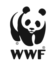 World Wildlife Fund established itself to be one of the most iconic brands recognized worldwide